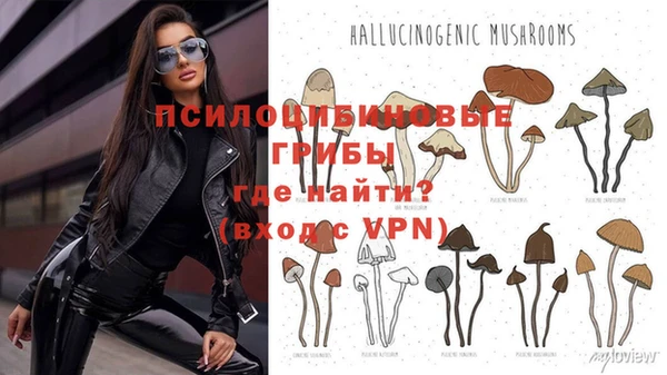 MDMA Premium VHQ Белокуриха